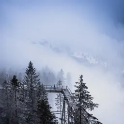 Spacer w koronach drzew w Zakopanem. Drewniana kładka wśród ośnieżonych świerków, otoczona mgłą i górami.