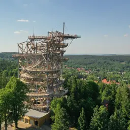 Drewniana konstrukcja wieży widokowej wznosi się nad lasem, oferując spacer po niebie.