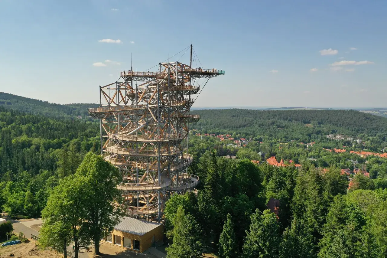 Drewniana konstrukcja wieży widokowej wznosi się nad lasem, oferując spacer po niebie.